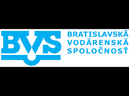 Logo BVS