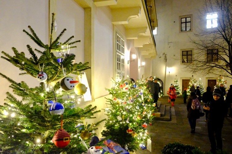 vianočné stromčeky v átriu, ľudia sa na tieto stromčeky pozerajú a fotia si ich