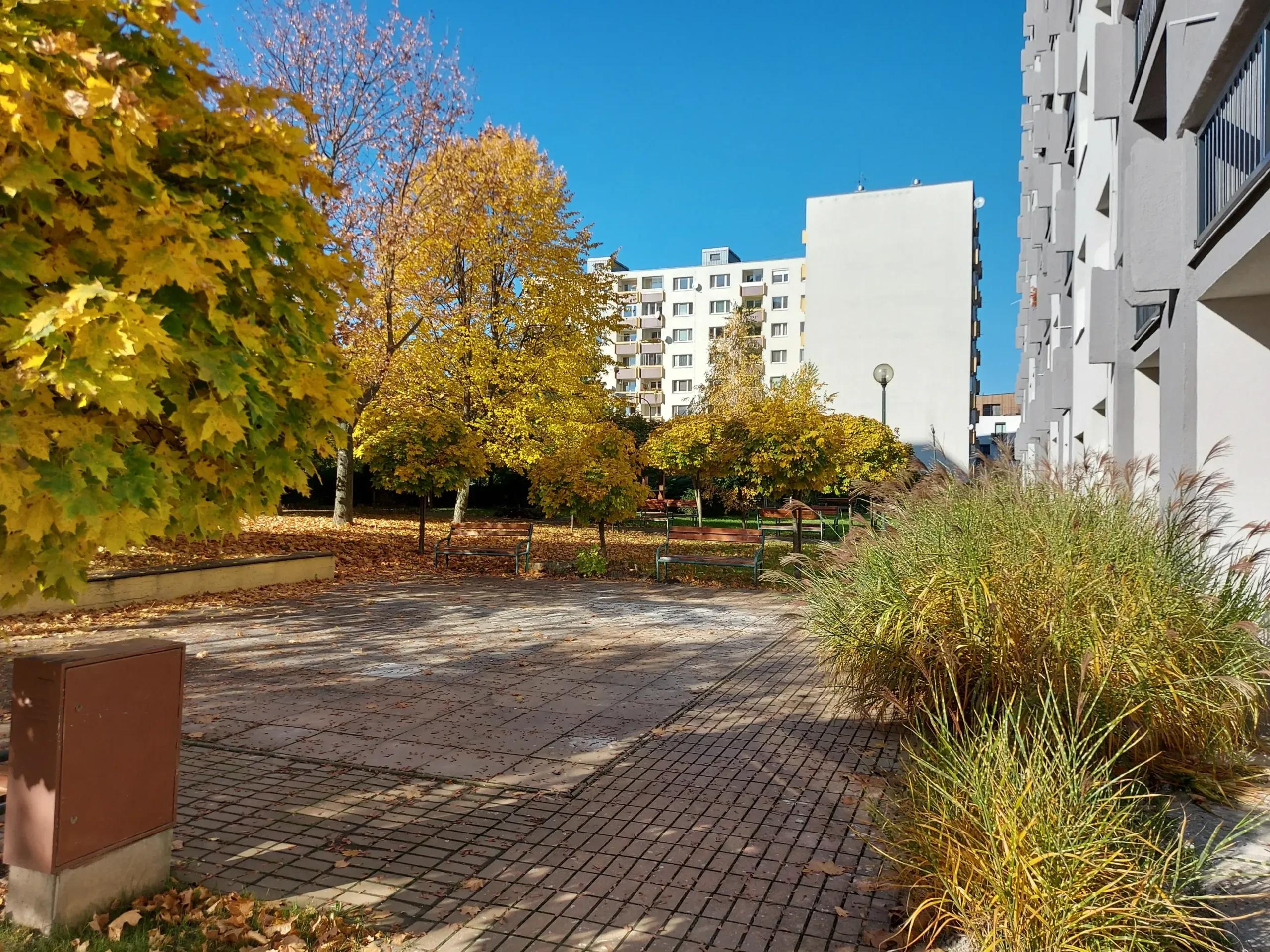 exterier domu seniorov